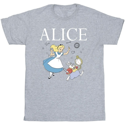 Vêtements Garçon T-shirts manches courtes Disney Alice In Wonderland Follow The Rabbit Gris