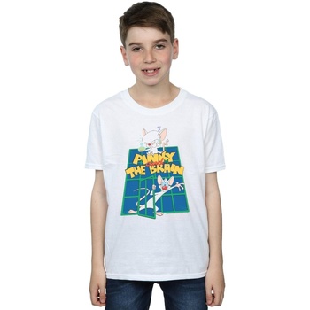 Vêtements Garçon T-shirts manches courtes Animaniacs Pinky And The Brain Laboratory Blanc