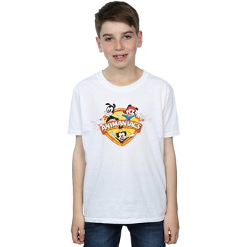 Vêtements Garçon T-shirts manches courtes Animaniacs Group Shield Blanc