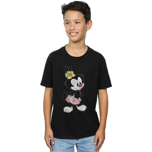 Vêtements Garçon T-shirts manches courtes Animaniacs Dot Classic Pose Noir