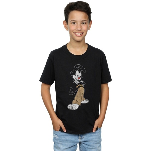 Vêtements Garçon T-shirts manches courtes Animaniacs Yakko Classic Pose Noir