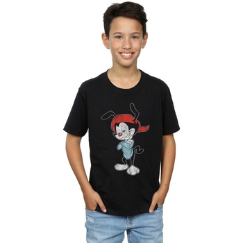 Vêtements Garçon T-shirts manches courtes Animaniacs Wakko Classic Pose Noir