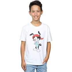 Vêtements Garçon T-shirts manches courtes Animaniacs Wakko Classic Pose Blanc