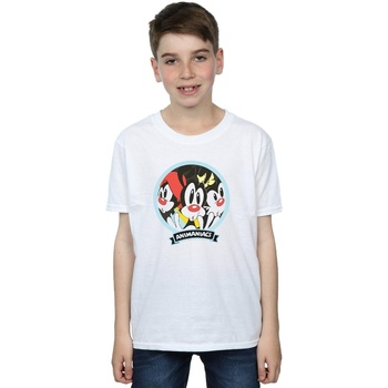 Vêtements Garçon T-shirts manches courtes Animaniacs Fisheye Group Blanc