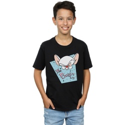 Vêtements Garçon T-shirts manches courtes Animaniacs The Brain Mugshot Noir