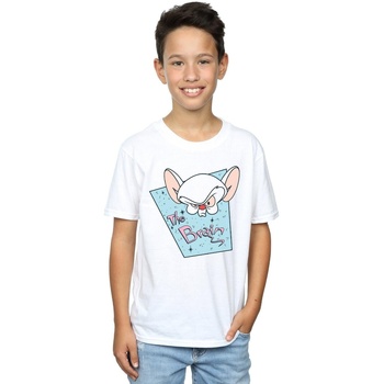 Vêtements Garçon T-shirts manches courtes Animaniacs The Brain Mugshot Blanc