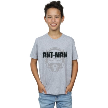 Vêtements Garçon T-shirts manches courtes Marvel Ant-Man Helmet Fade Gris