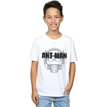 Vêtements Garçon T-shirts manches courtes Marvel Ant-Man Helmet Fade Blanc
