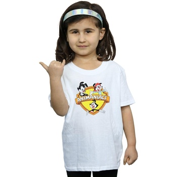 Vêtements Fille T-shirts manches longues Animaniacs Logo Crest Blanc