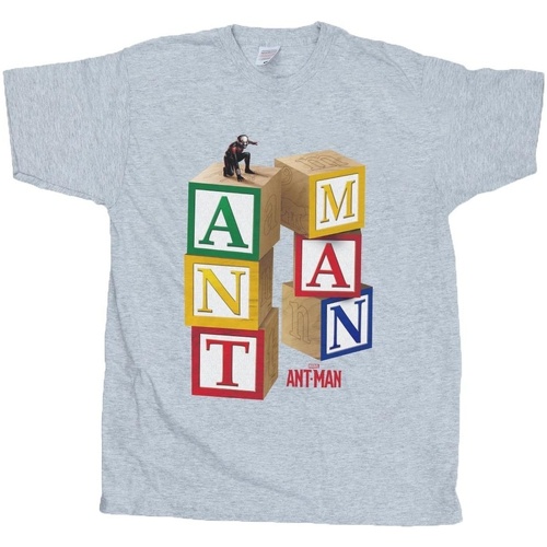 Vêtements Garçon T-shirts manches courtes Marvel Ant-Man Blocks Gris