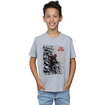 Vêtements Garçon T-shirts manches courtes Marvel Ant-Man Army Gris