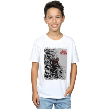 Vêtements Garçon T-shirts manches courtes Marvel Ant-Man Army Blanc