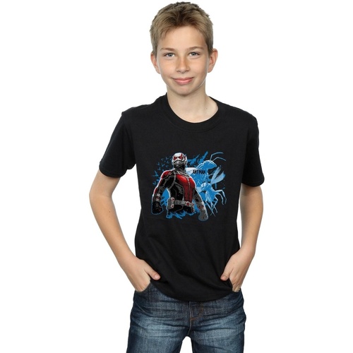Vêtements Garçon T-shirts manches courtes Marvel Ant-Man Standing Noir