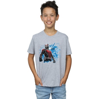 Vêtements Garçon T-shirts manches courtes Marvel Ant-Man Standing Gris