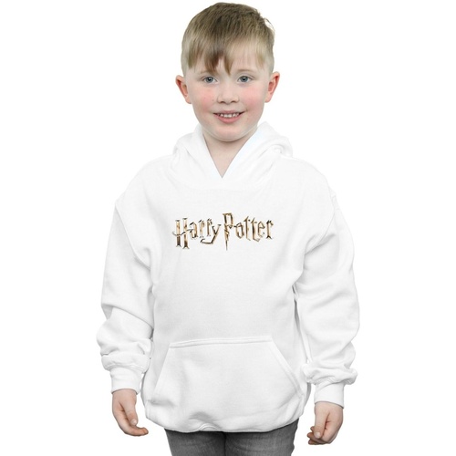 Vêtements Garçon Sweats Harry Potter Full Colour Logo Blanc