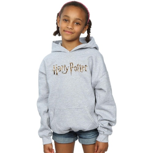 Vêtements Fille Sweats Harry Potter Full Colour Logo Gris