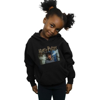 Vêtements Fille Sweats Harry Potter Steam Ears Noir