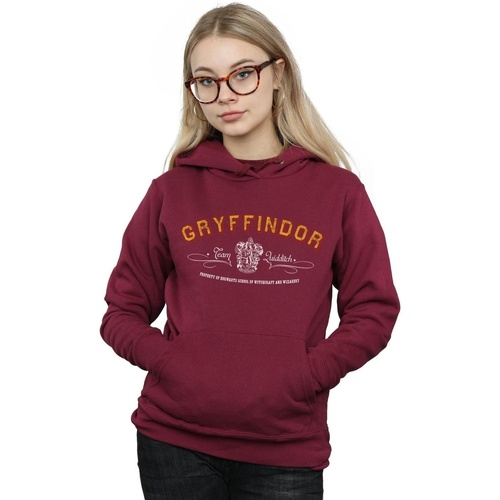 Vêtements Femme Sweats Harry Potter Gryffindor Team Quidditch Multicolore