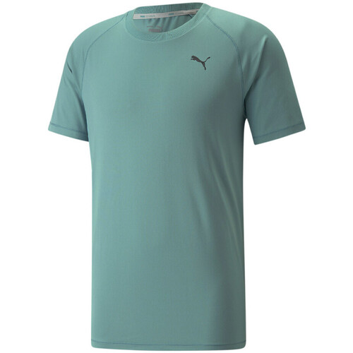 Vêtements Homme T-shirts & Polos Puma 521493-50 Bleu