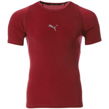 Vêtements Homme T-shirts manches courtes Puma 764885-09 Rouge