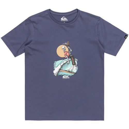 Vêtements Garçon Débardeurs / T-shirts sans manche Quiksilver Neverending Surf Bleu