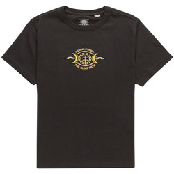 Vêtements Garçon T-shirts manches courtes Element Timber x  Omen Noir