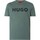 Vêtements Homme T-shirts manches courtes BOSS Dulivio T-shirt graphique Vert