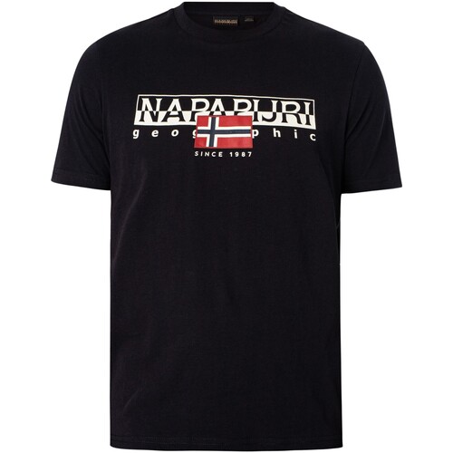 Vêtements Homme T-shirts manches courtes Napapijri T-shirt Aylmer Noir