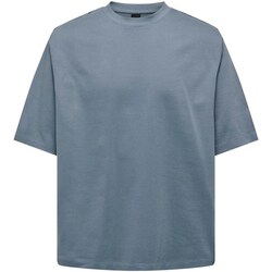 Vêtements Homme T-shirts manches courtes Only & Sons  22027787 Autres