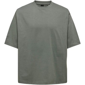 Vêtements Homme T-shirts manches courtes Only & Sons  22027787 Multicolore