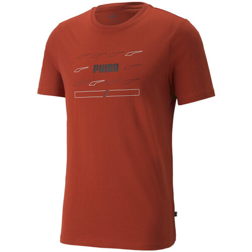 Vêtements Homme T-shirts manches courtes Puma 847433-23 Rouge