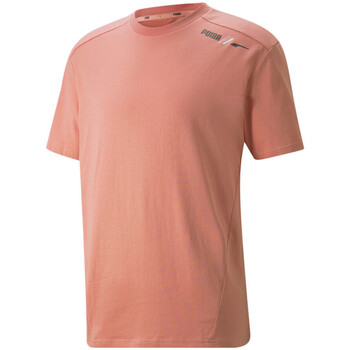 Vêtements Homme T-shirts manches courtes Puma 847432-24 Rose