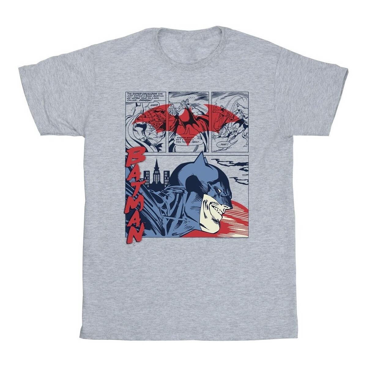 Vêtements Fille T-shirts manches longues Dc Comics Batman Comic Strip Gris