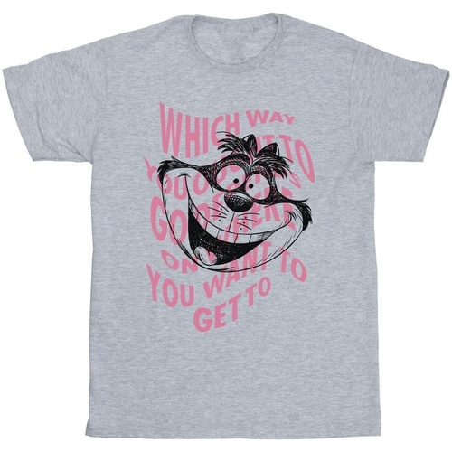 Vêtements Homme T-shirts manches longues Disney Alice In Wonderland Chesire Cat Gris