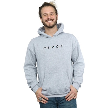 Vêtements Homme Sweats Friends Pivot Logo Gris