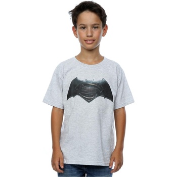 Vêtements Garçon T-shirts manches courtes Dc Comics Batman v Superman Logo Gris