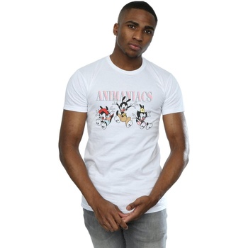 Vêtements Homme T-shirts manches longues Animaniacs Group Jump Blanc