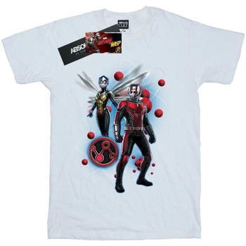 Vêtements Homme T-shirts manches longues Marvel Ant-Man And The Wasp Particle Pose Blanc