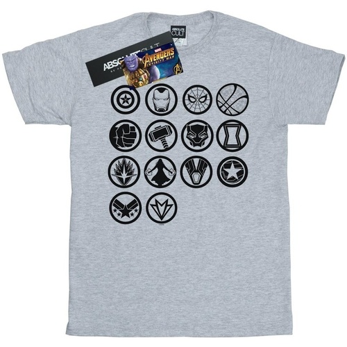 Vêtements Femme T-shirts manches longues Marvel Avengers Infinity War Icons Assemble Gris