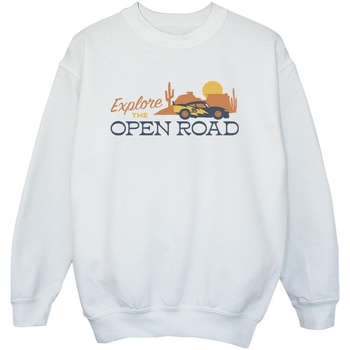 Vêtements Garçon Sweats Disney Cars Explore The Open Road Blanc