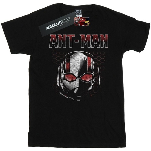 Vêtements Homme T-shirts manches longues Marvel Ant-Man And The Wasp Scott Mask Hexagon Noir