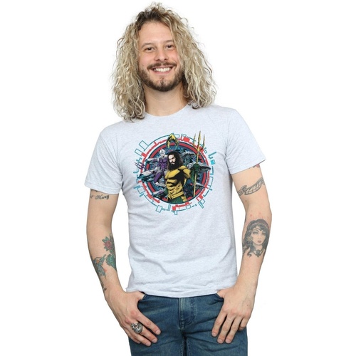 Vêtements Homme T-shirts manches longues Dc Comics Aquaman Circular Crest Gris