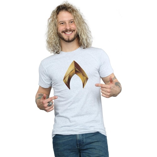 Vêtements Homme T-shirts manches longues Dc Comics Aquaman Emblem Gris