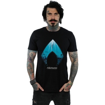 Vêtements Homme T-shirts manches longues Dc Comics Aquaman Ocean Logo Noir