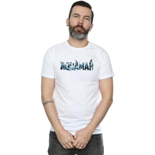 Vêtements Homme T-shirts manches longues Dc Comics Aquaman Text Logo Blanc
