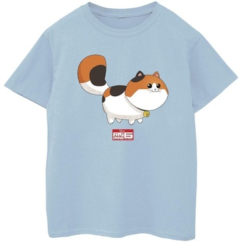 Vêtements Garçon T-shirts manches courtes Disney Big Hero 6 Baymax Kitten Pose Bleu