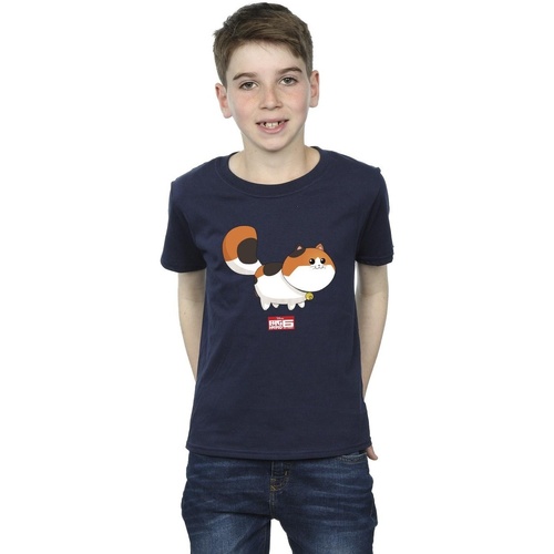 Vêtements Garçon T-shirts manches courtes Disney Big Hero 6 Baymax Kitten Pose Bleu
