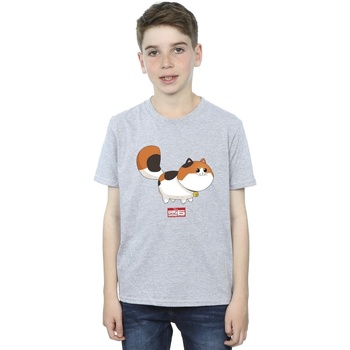 Vêtements Garçon T-shirts manches courtes Disney Big Hero 6 Baymax Kitten Pose Gris