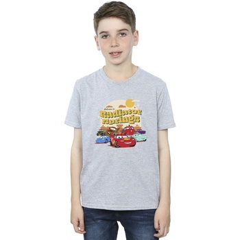 Vêtements Garçon T-shirts manches courtes Disney Cars Radiator Springs Group Gris
