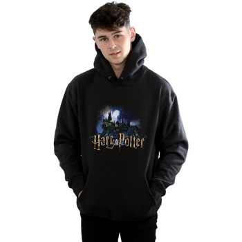 Vêtements Homme Sweats Harry Potter Hogwarts Castle Noir